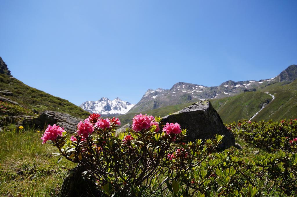 Appartementhaus Nadine * Langenfeld